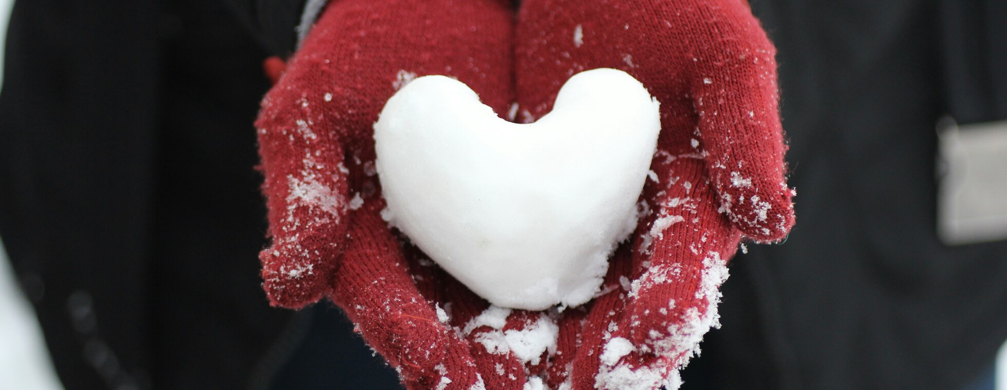 Winter Day of Reflection: An Examen on Love & Resistance